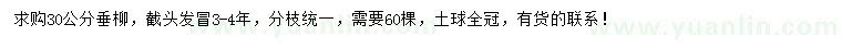 求購30公分垂柳