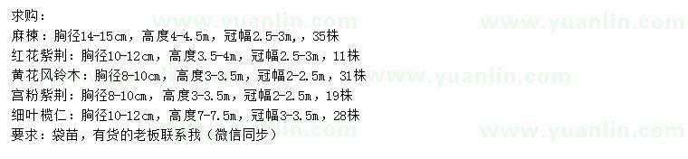 求購麻楝、紅花紫荊、黃花風(fēng)鈴木等