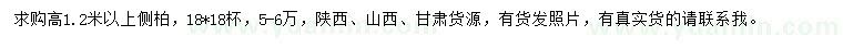 求購(gòu)高1.2米以上側(cè)柏