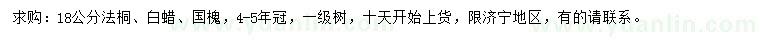 求購(gòu)法桐、白蠟、國(guó)槐