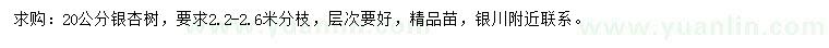 求購20公分銀杏
