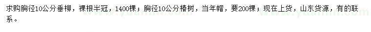 求購胸徑10公分垂柳、椿樹