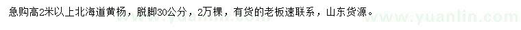 求購(gòu)高2米以上北海道黃楊