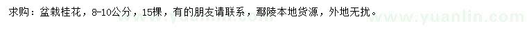 求購8-10公分桂花