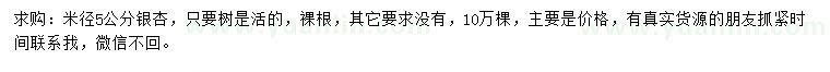 求購米徑5公分銀杏