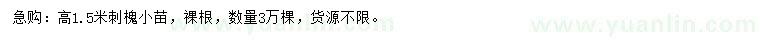 求購高1.5米刺槐