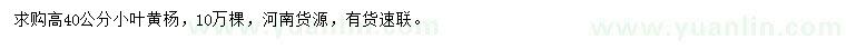 求購高40公分小葉黃楊