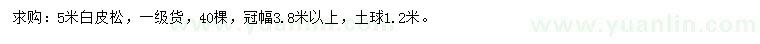 求購5米白皮松