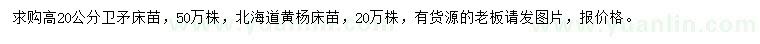 求購(gòu)高20公分以上衛(wèi)矛、北海道黃楊