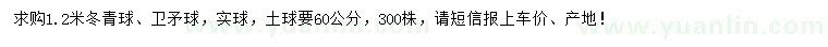 求購1.2米冬青球、衛(wèi)矛球