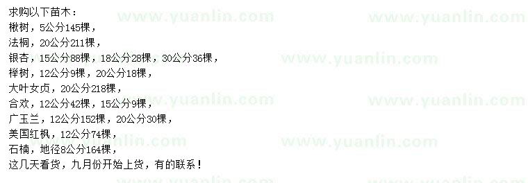 求購(gòu)楸樹(shù)、法桐、銀杏等