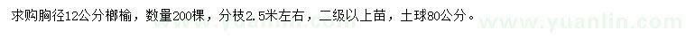 求購(gòu)胸徑12公分榔榆