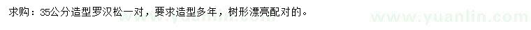 求購35公分羅漢松