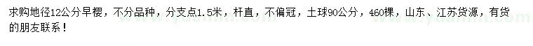 求購地徑12公分早櫻