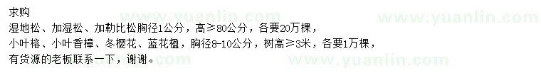 求購(gòu)濕地松、加濕松、加勒比松等