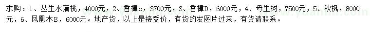 求購(gòu)水蒲桃、香樟、母生等