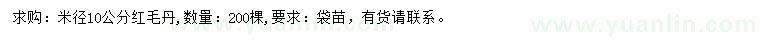 求購米徑10公分紅毛丹