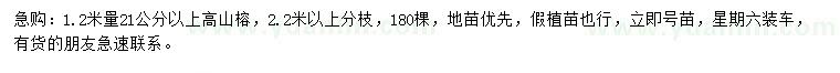 求購(gòu)1.2米量21公分以上高山榕