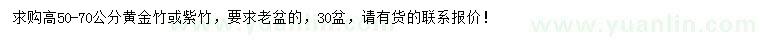 求購(gòu)高50-70公分黃金竹或紫竹