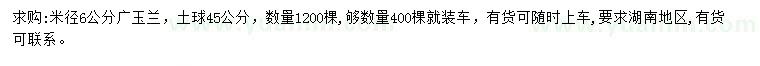 求購米徑6公分廣玉蘭