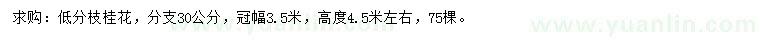 求購冠幅3.5米桂花