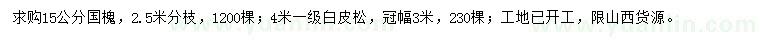 求購15公分國槐、4米白皮松