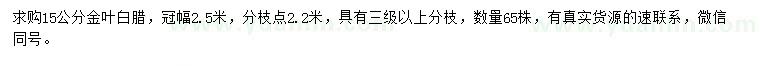 求購15公分金葉白蠟
