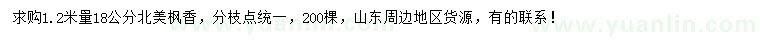 求購1.2米量18公分北美楓香