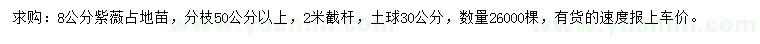 求購8公分紫薇
