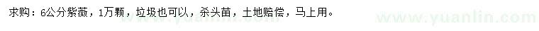 求購6公分紫薇