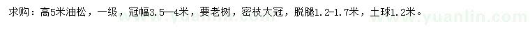 求購高5米油松