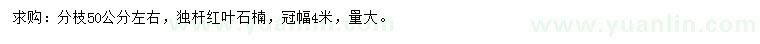 求購冠幅4米紅葉石楠