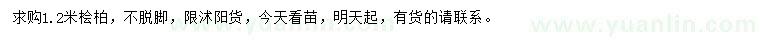 求購1.2米檜柏