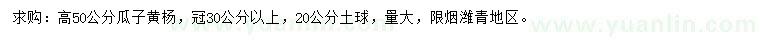 求購(gòu)高50公分瓜子黃楊