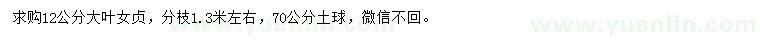 求購12公分大葉女貞
