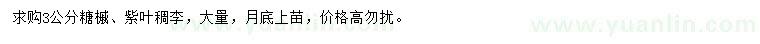 求購3公分糖槭、紫葉稠李