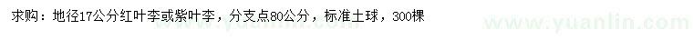求購地徑17公分紅葉李或紫葉李