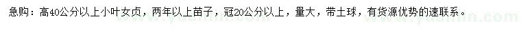 求購高40公分以上小葉女貞