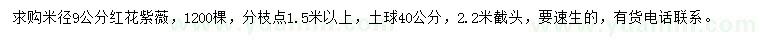 求購(gòu)米徑9公分紅花紫薇