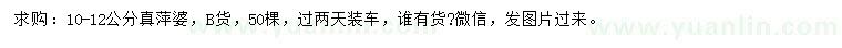 求購(gòu)10-12公分真萍婆