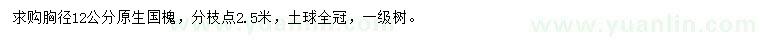 求購胸徑12公分國槐