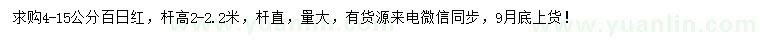 求購4-15公分百日紅