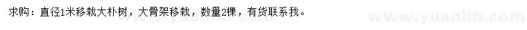 求購直徑1米樸樹