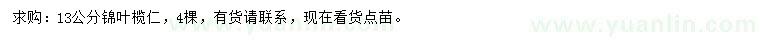 求購13公分錦葉欖仁