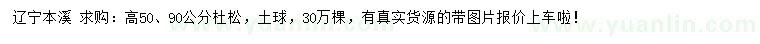 求購高50、90公分杜松