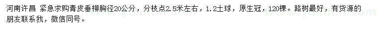 求購(gòu)胸徑20公分青皮垂柳