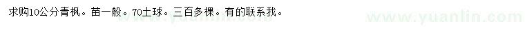 求購10公分青楓