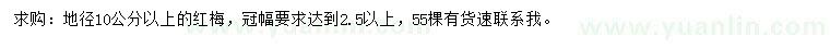 求購地徑10公分以上紅梅