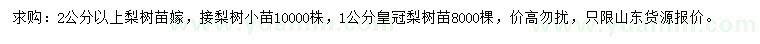 求購(gòu)1公分皇冠梨樹、2公分以上梨樹