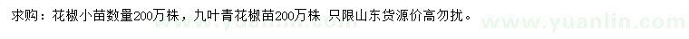 求購(gòu)花椒樹苗、九葉青花椒苗